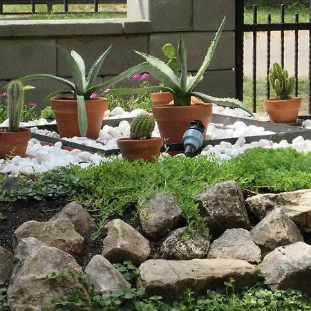 Alexandra Vendeghaz Feriehus *