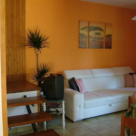 Alexandra Vendeghaz *