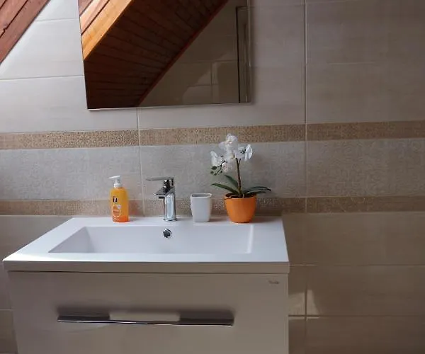 Alexandra Vendeghaz *