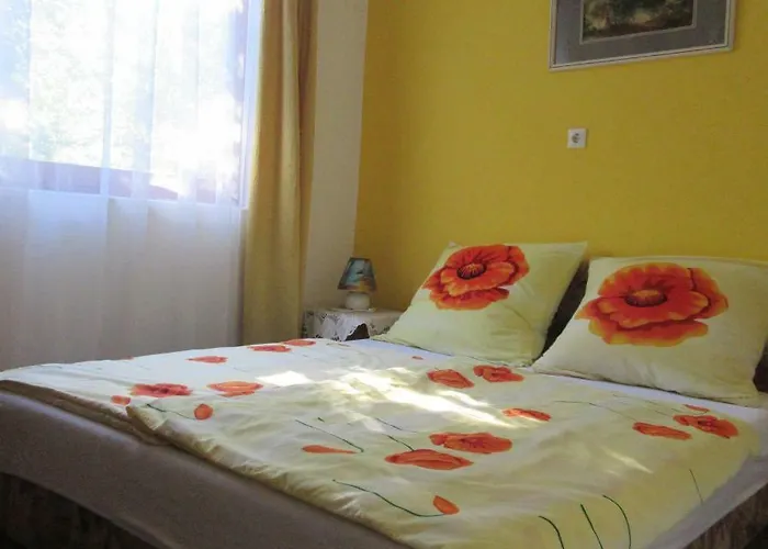 Alexandra Vendeghaz בית נופש שיופוק