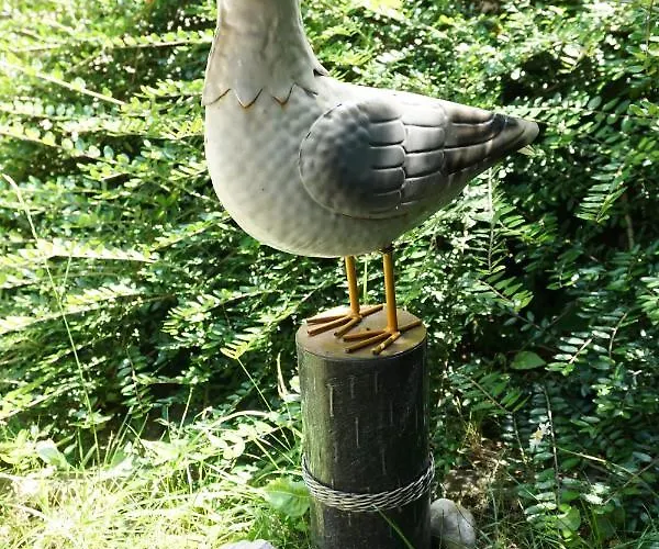 Alexandra Vendeghaz בית נופש